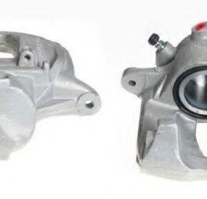 Budweg Caliper Jarrusatula